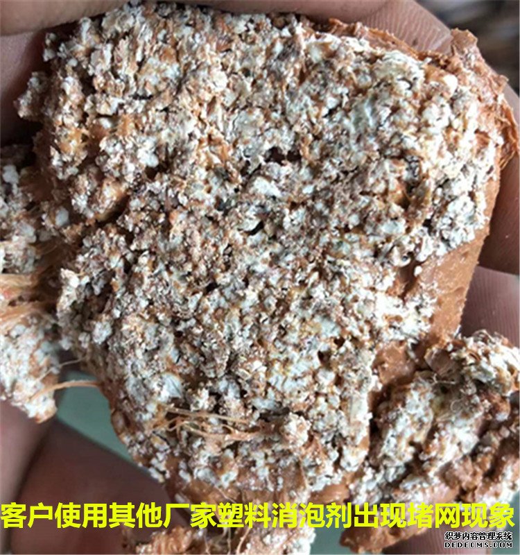 blb百乐博-非凡设想